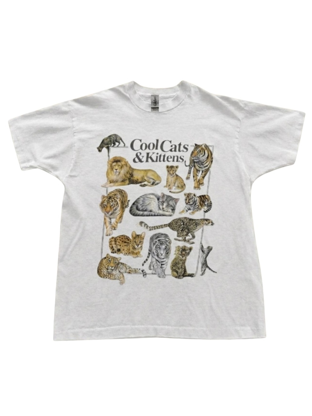 Gildan Cool Cats & Kittens Graphic T-Shirt - White